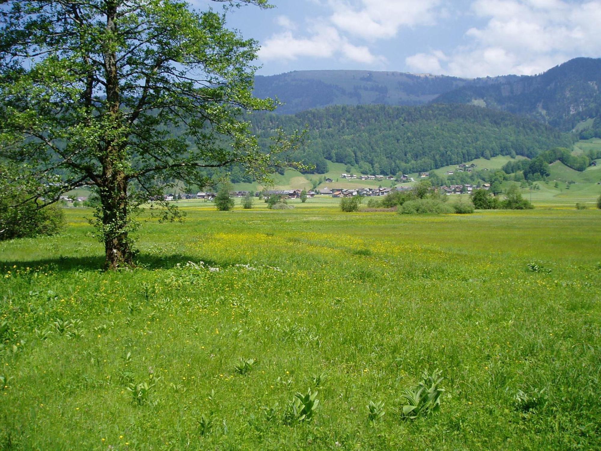 Gasthof Taube Bizau Exteriör bild