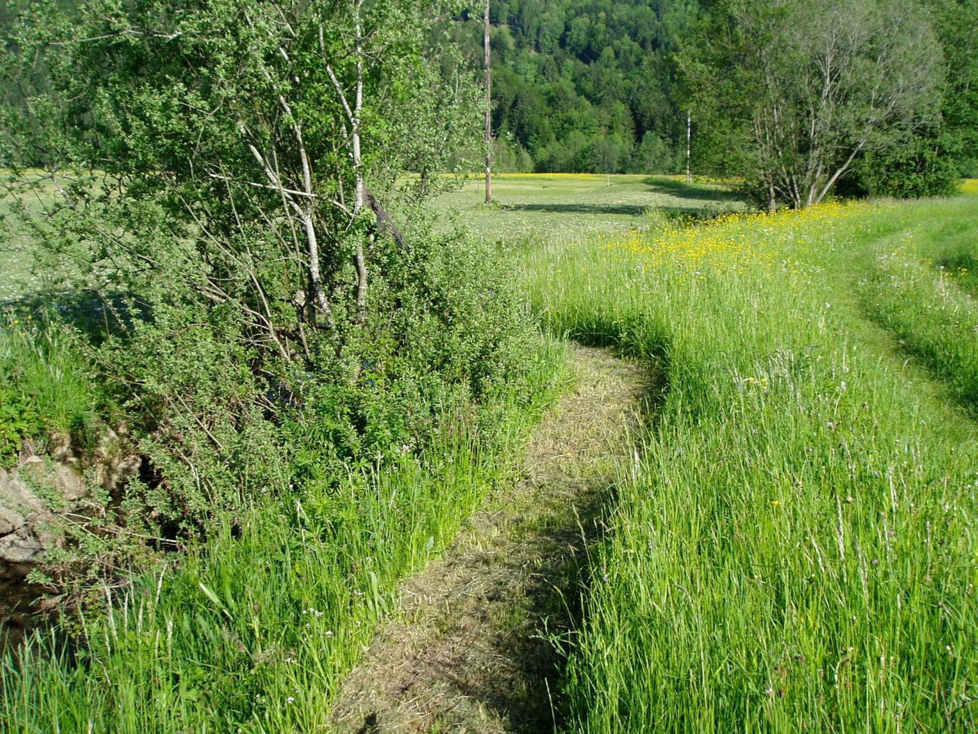 Gasthof Taube Bizau Exteriör bild