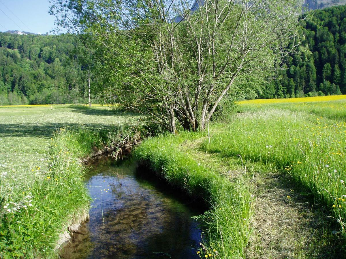 Gasthof Taube Bizau Exteriör bild